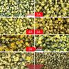 Tongxiang Hangtai Chrysanthemum Tea Substitute - Zhejiang Hangbaiju Small Bagged Chrysanthemum Buds