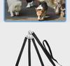 Three-Head Adjustable Dog Leash for Small, Medium, and Large Dogs - Perfect for Outdoor Walks.