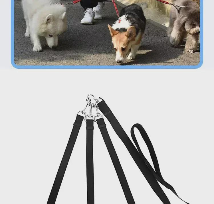 Tříhlavé nastavitelné vodítko pro malé, střední a velké psy – ideální pro venkovní procházky.