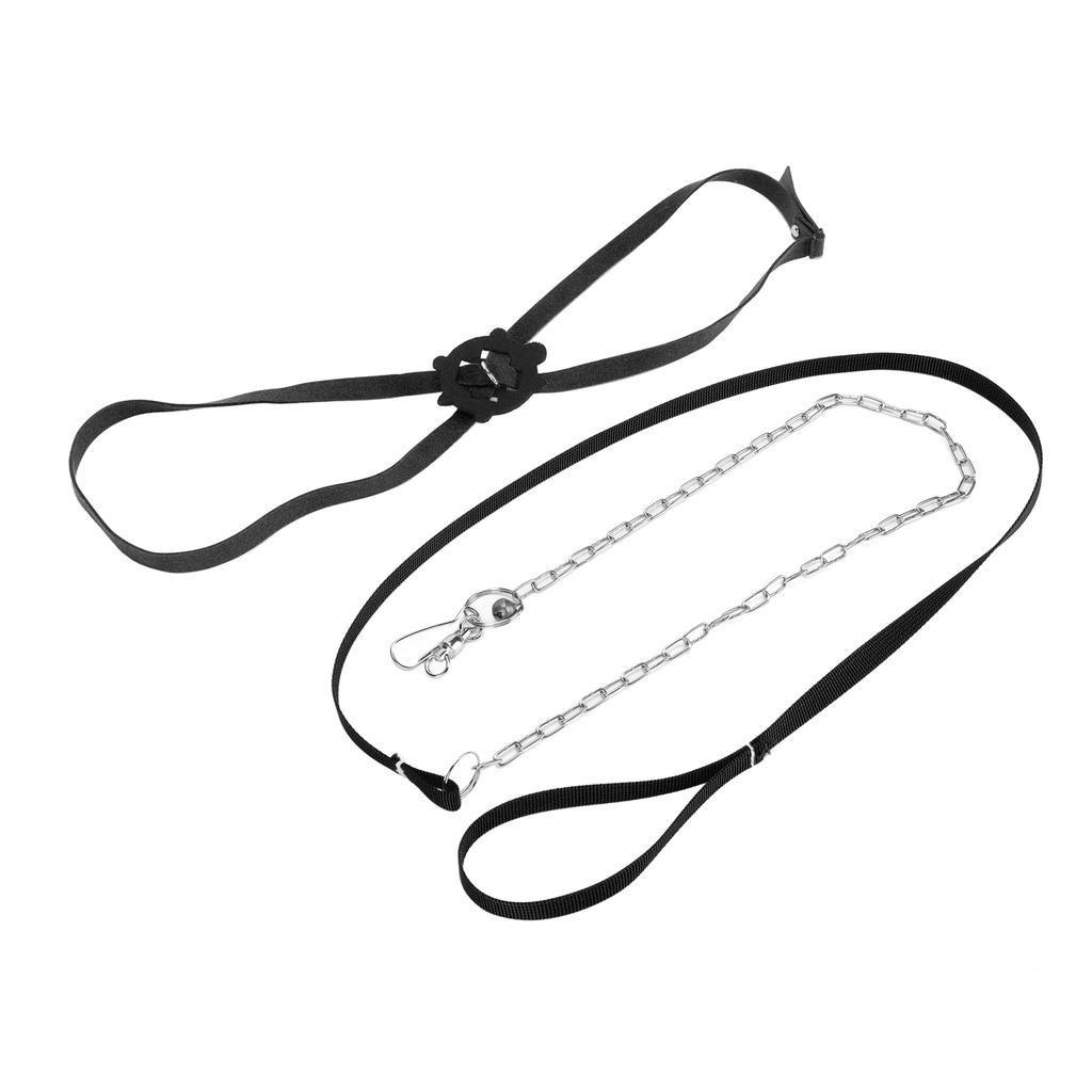 Schildkröten Geschirr Leine Verstellbar Hautfreundlich Haustier Geschirr Reptilien Leine für Draußen Schwarz L