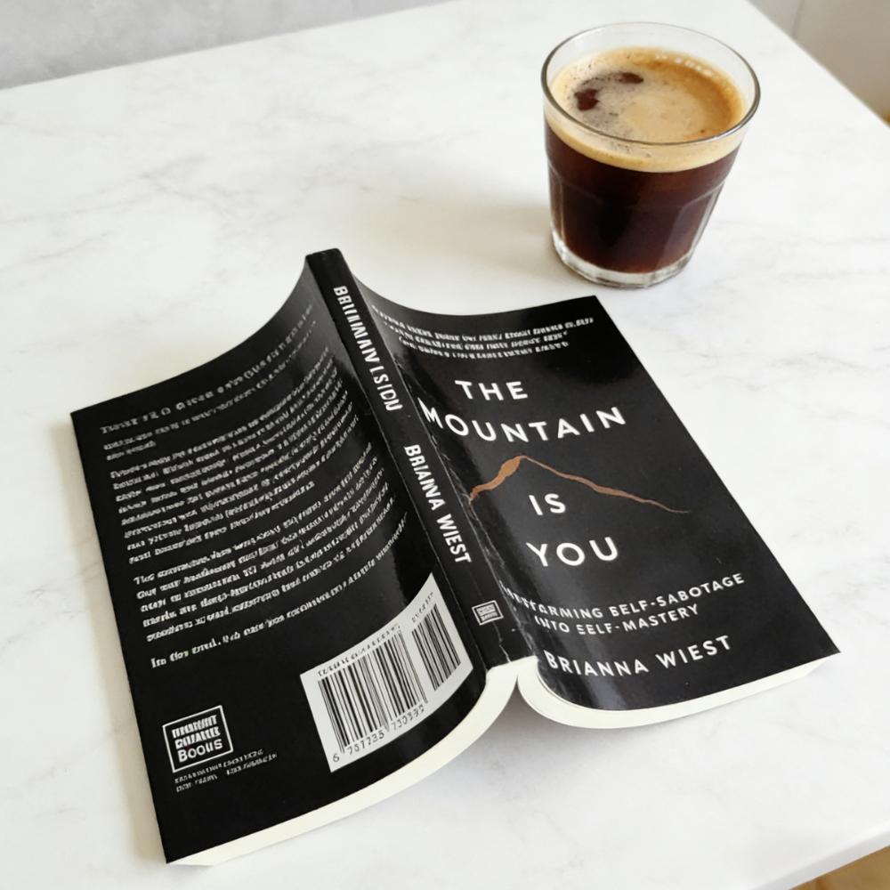 The Mountain Is You: Transforming Self-Sabotage Into Self-Mastery English Books Birthday Gifts