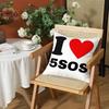 Rock 5 Seconds of Summer Band Pillow Case Anti-dustmite Pillow Invisible zipper silky short plush Sofa cushion cover