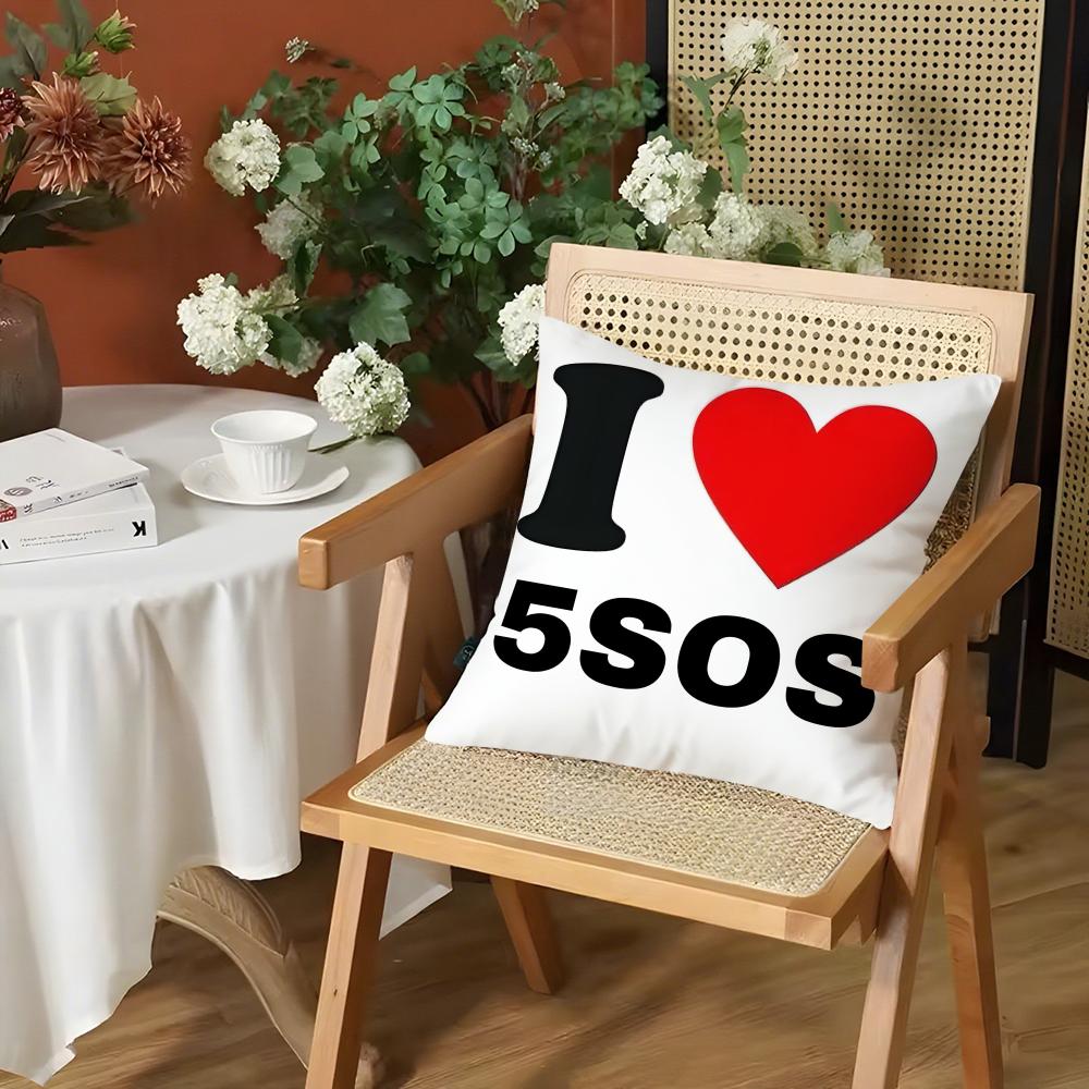 Rock 5 Seconds of Summer Band Pillow Case Anti-dustmite Pillow Invisible zipper silky short plush Sofa cushion cover