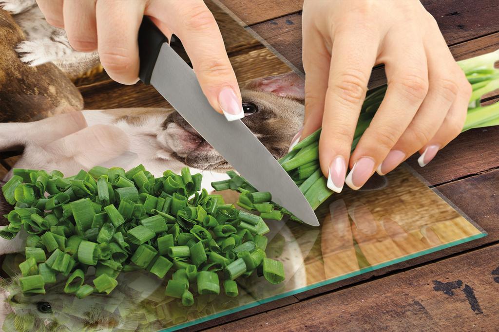 TÁBUA DE VIDRO PARA CORTAR 30x22 CÃO