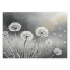 Wallpaper Inflatable Plants Nature