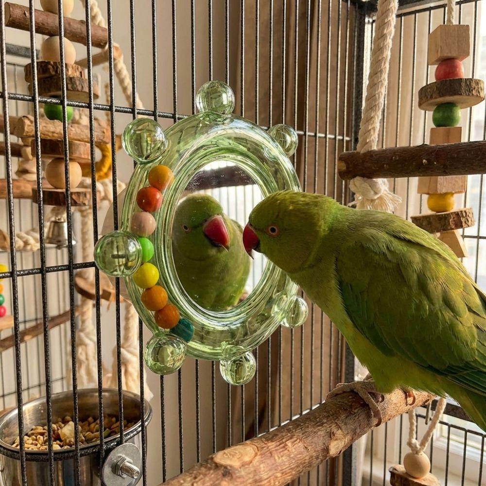 Wear-Resisting Bird Mirror Perch Spinning Puzzle Bird Flying Saucers  Bird Supplies