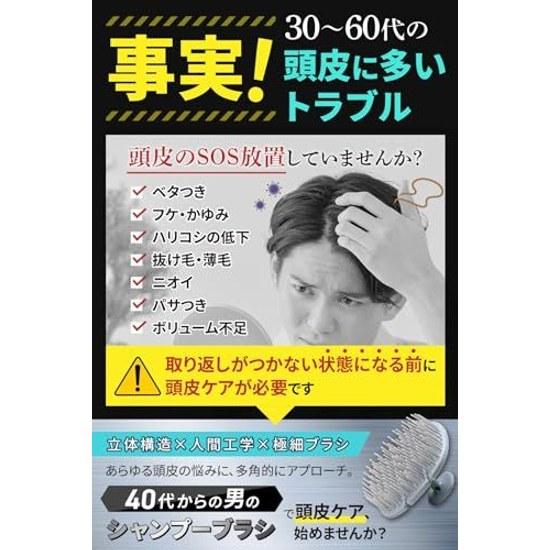 Scalp Brush Men Recommended Professionals Their 40s Dear Mr. Ice Gray (Normal Type)