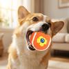 Hundekauspielzeug, Biss- und Knabberfest, Zur Zahnreinigung und zum Abwetzen; Haustier Spielzeug (Tennisball).