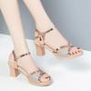 Fashion Sandals Women's Thick-heeled Women's High Heels Summer Middle-aged Mother Shoes Buckle Women's Shoes
