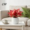 Large Planter Pot Self Watering Pots for Indoor Plants, Plastic with Drainage Hydroponic Plant Vase Holes, Small Flower Houseplants, African Violets,