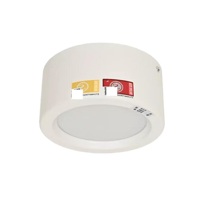 Surface Mounted Emergency LED Downlight 2.5 inch
