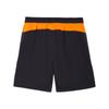 Puma Individual Cup Football Shorts Comfortable Moisture Wicking Men Shorts 660248-08
