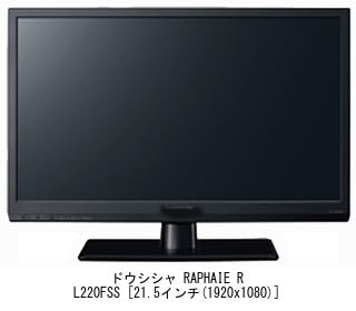 Media Cover Market Doshisha RAPHAIE RL220FSS 21.5-inch Magnetic Privacy Filter, Compatible, Blue Light Blocking, Privacy Film, Monitor