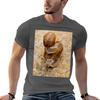 Two Land Snail In Love TShirt Big and Tall Short Sleeve Tee