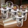 1/2/3/5/6/8/10Pcs Hydroponic Plants Growing Cup with Dome Transparent Plants Germination Pot Gardening Nursery Plants Starting Container