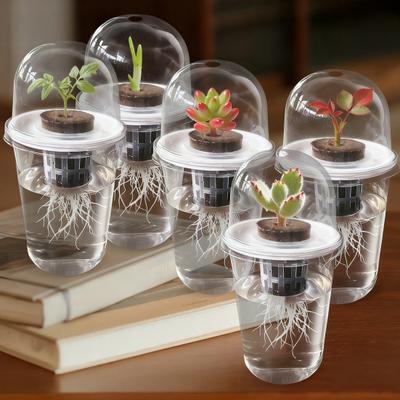 Vasi e fioriere da giardino – Contenitori per piantine