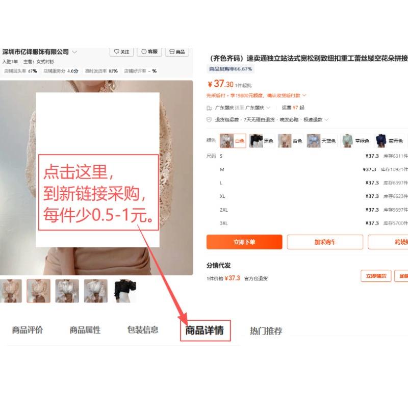 New long-sleeved ruffled shirt women's shirt for spring and summer