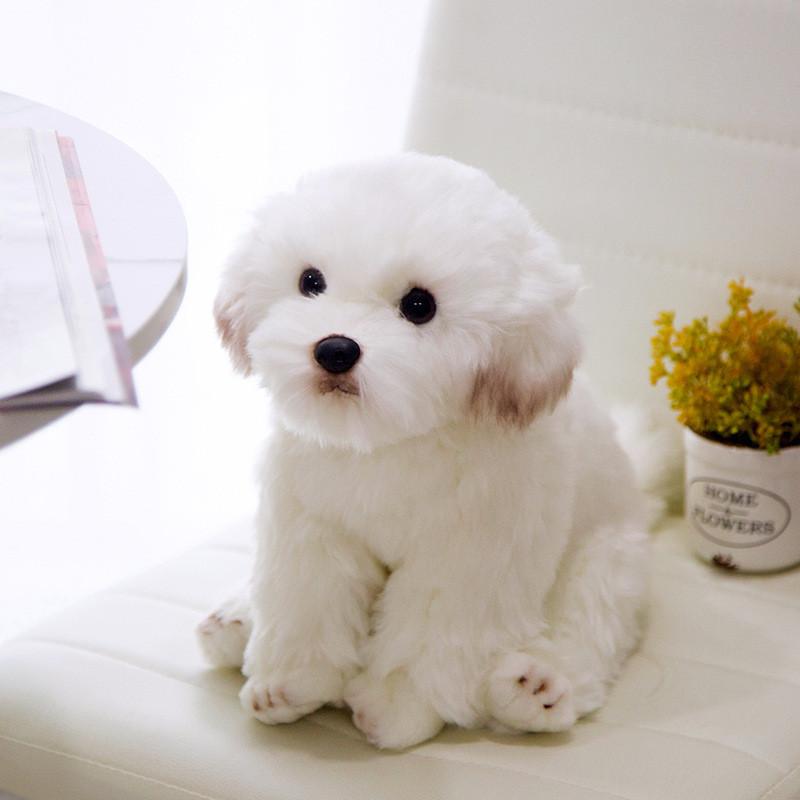 Dog Plush Maltese Toy Animal Stuffed Doll Home Bedroom Decoration Gift Kids