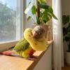 Soft Plush Pet Elizabethan Collar Breathable Anti-Bite Anti Lick Recovery Collar Skin-Friendly Adjustable Parrot Recovery Cone