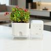 Square Self Watering Pot with Drainage Hole Clear Reservoir Indoor Outdoor Plants Planting Pot Herbs Succulents Flower Planter with Wick Rope