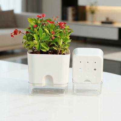 Square Self Watering Pot with Drainage Hole Clear Reservoir Indoor Outdoor Plants Planting Pot Herbs Succulents Flower Planter with Wick Rope