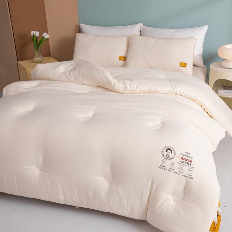 

Oeny All-Season Soy Fiber Duvet