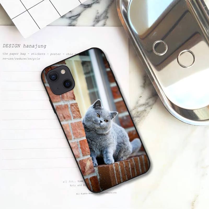 Gilt für die Handyhülle des iPhone 16, neue süße Handyhülle mit blauem Katzenmotiv.