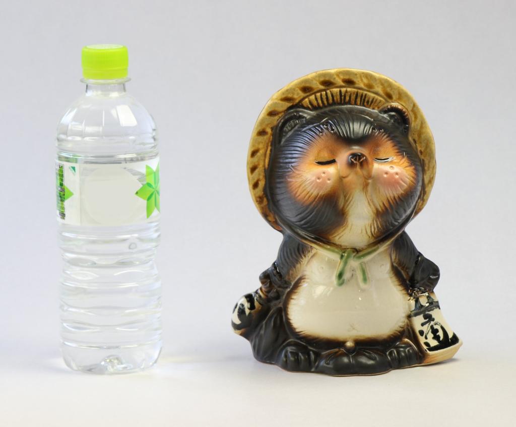 Tori Kiss Tanuki Male 6 "Shigaraki Ware" No. SA23-6