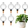 Self Watering Globes for Plants 6 Pack - 750ml Large Capacity Automatic Slow Release Plant Waterer Bulbs for Indoor Outdoor Potted Plants, Vacation P