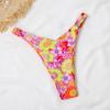 Micro Bikini Push Up Women Swimsuits Sexy Female Swimwear Brazilian Bikini Set Thong Swimming Suits Beachwear