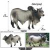 Realistic Farm Animal Model Set: Dairy Cow, Simmental Bull, Yellow Cattle, Fighting Bull, Water Buffalo, Yak