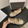 French Silver Mary Jane Single Shoes Women's 2025 New Autumn and Summer with Skirt Leather Shoes Ballet Flat Beanie Shoes