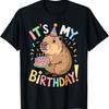 It's My Birthday Butterfly Tie Dye Birthday Party  Girl T-Shirt