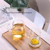 Heat-Resistant Glass Tea Infuser Mug
