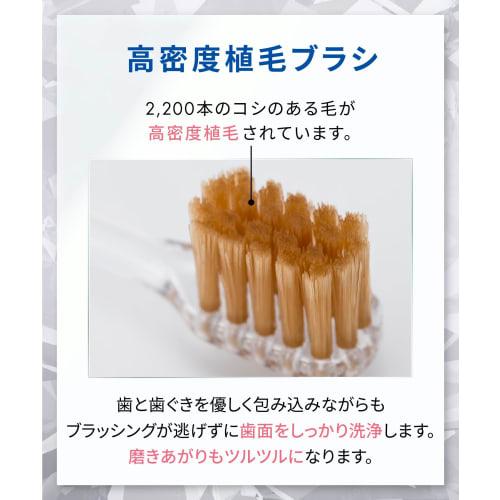 White Essence Periotect Periodontal Disease Prevention Toothpaste, Citrus Mix Flavor (Periotect + Shinist (Vitamin C))