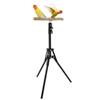 Ständer Höhenverstellbare Vogelstange Spielzeug Innen Außen Vielseitig Vogel Papagei Spiel Trainingsstation Stange Holz Vogeltrainingsstange