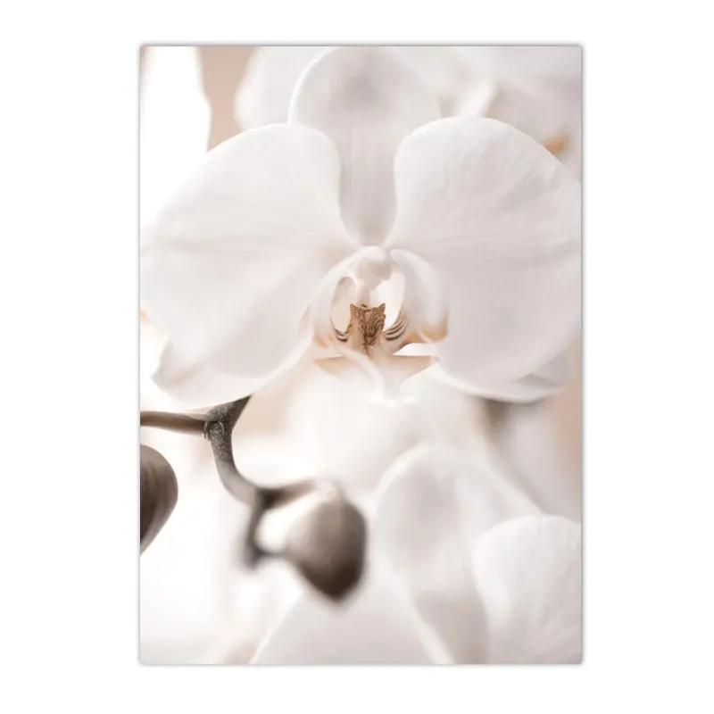 Beige Landscape Posters Sea Beach Bridge Canvas Picture Hay Reed Wall Art Flower Print Painting Nordic Poster Living Room Decor