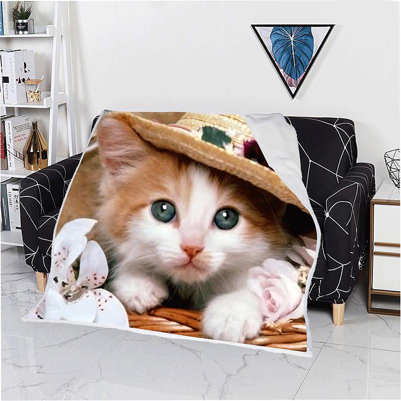 kitten throw blanket