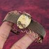 Fossil Coral Natural Gemstone Bangle Copper Wire Wrapped Adjustable Cuff Bracelet