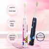 Philips HX2462 Sonic Electric Toothbrush CN Plug (adapter Included)