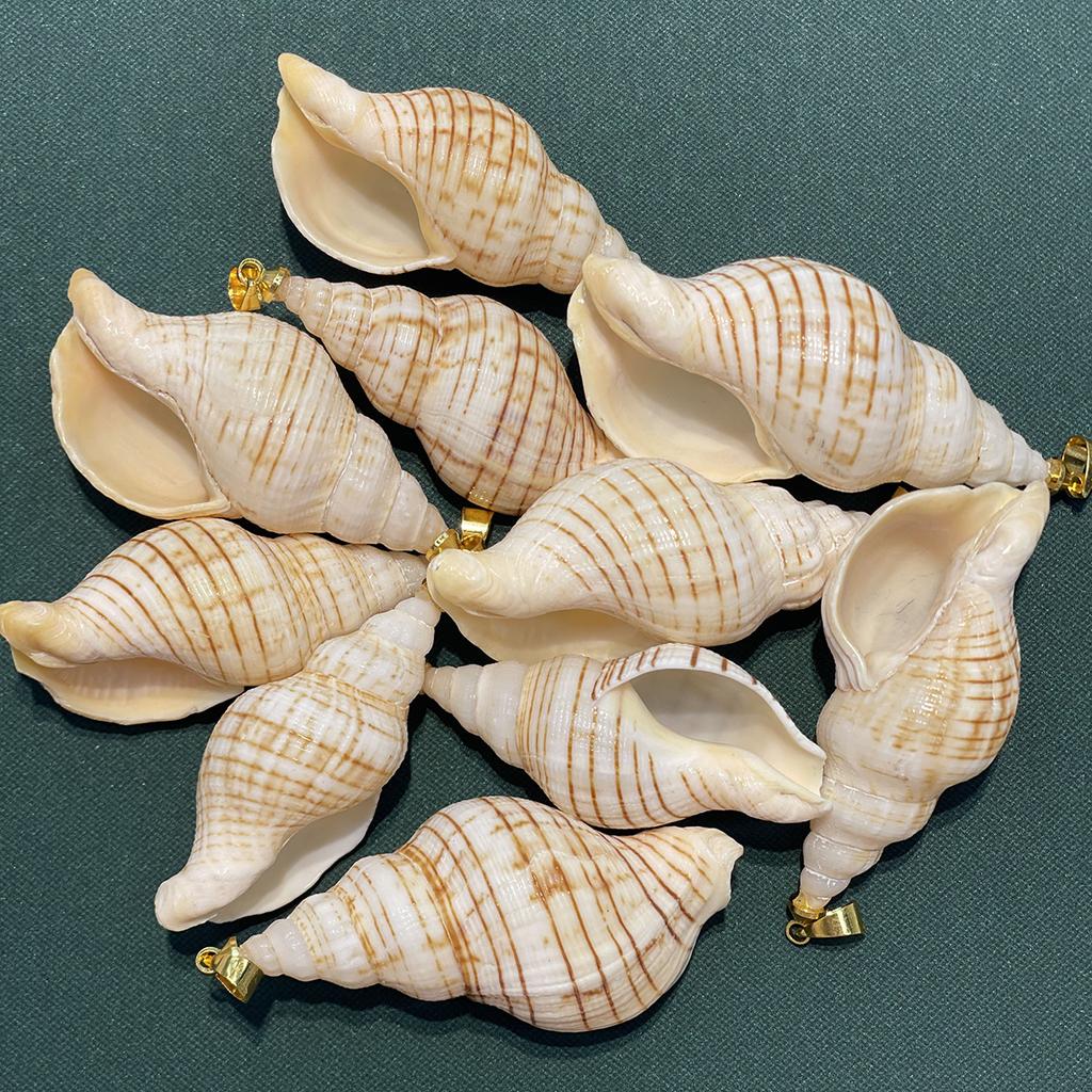 10Pcs Natural Small Triton Shell Charms 20×40~25×53mm Striped Seashell Pendants With Gold Bail Beach DIY Jewelry