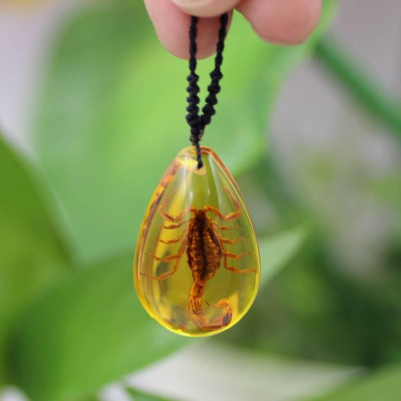 Creative Amber Scorpion Necklace Natural Insect Specimen Resin Droplet Shaped Pendant Sweater Chain Jewelry Pendant Jewelry Gift
