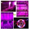 Premium Quality Led Grow Lights Waterproof Growing Led Strip For Seedlings And Greenhouse
