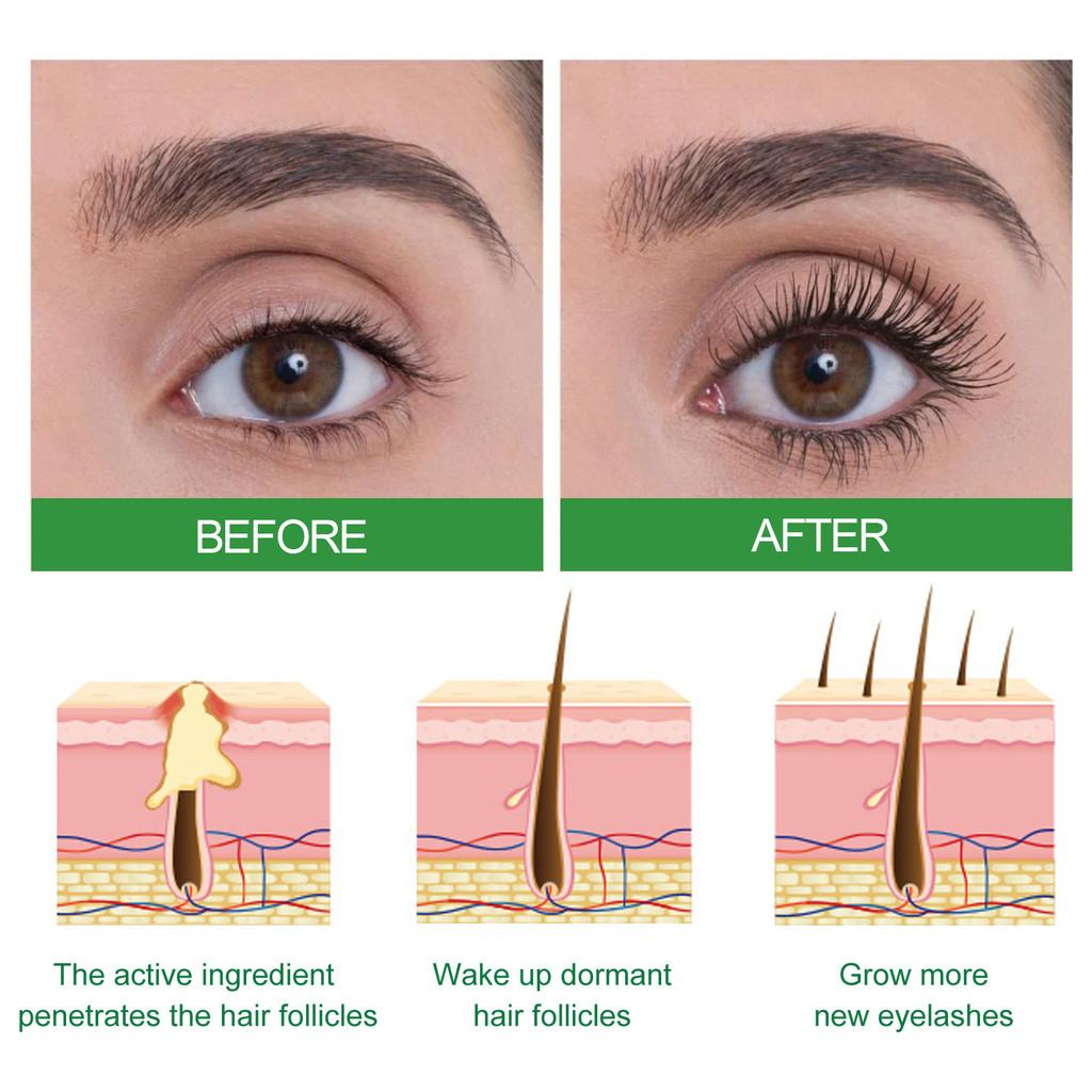 West Month Natural Castor Oil Hair Growth Serum For Nourishing Roots And Thickening Eyebrows And Eyelashes