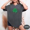 Four Leaf Clover | Comfort Colors Have A Lucky Day Shirt and Kids Shirt | Retro St Patricks Day Tee