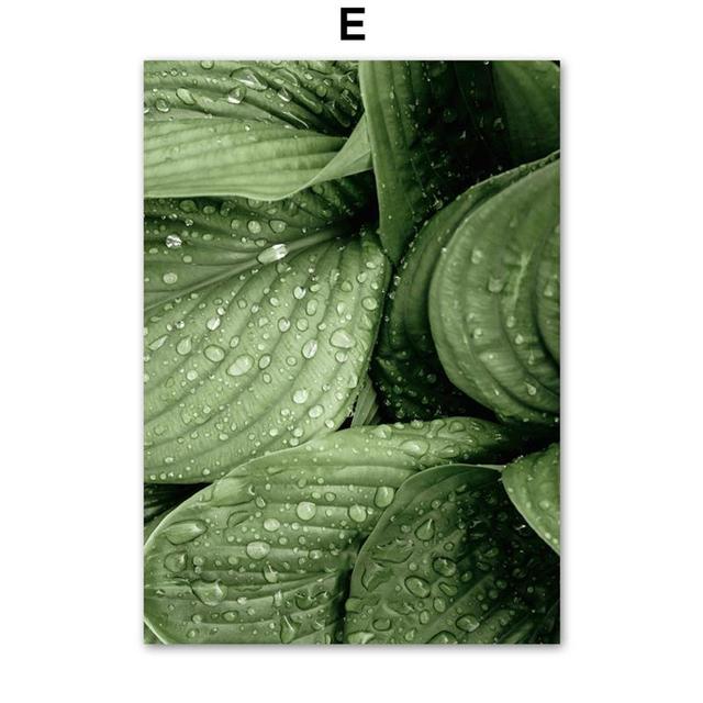 Scandinavian Plant Canvas Picture Modern Nordic Posters and Prints for Living Room Frameless Art Picture for Home Design No Frame