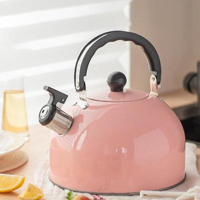 Stainless Steel Whistling Tea Kettle Button Control Outlet Loud Alarm 3L Capacity for Electric