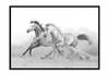 Picture Poster In a Frame 43x33 Cm Horses P904