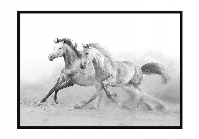 Picture poster In a frame 43x33 cm Horses P904