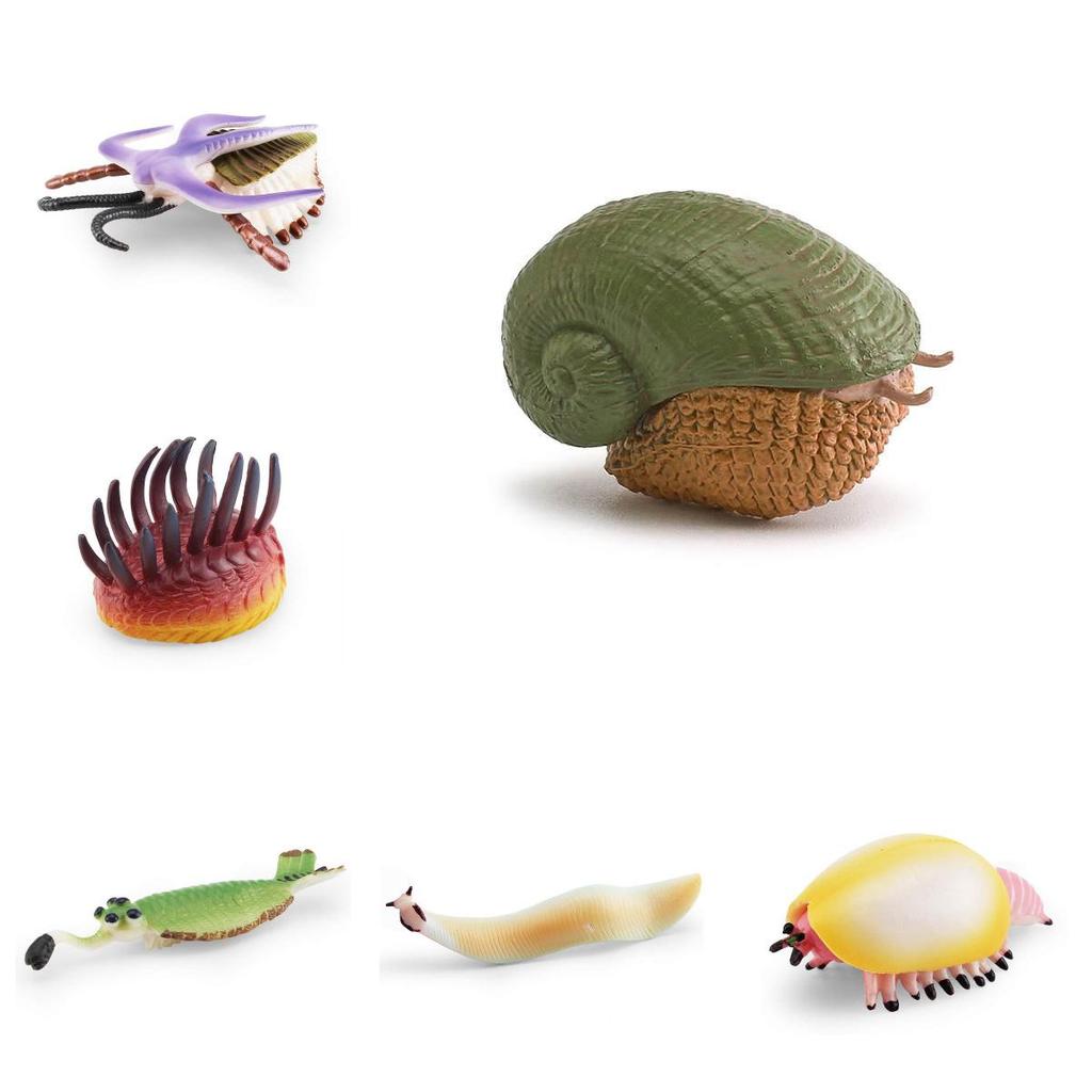 Marine Animal Pvc Model Set With Realistic Detail For Educational Display And Collection